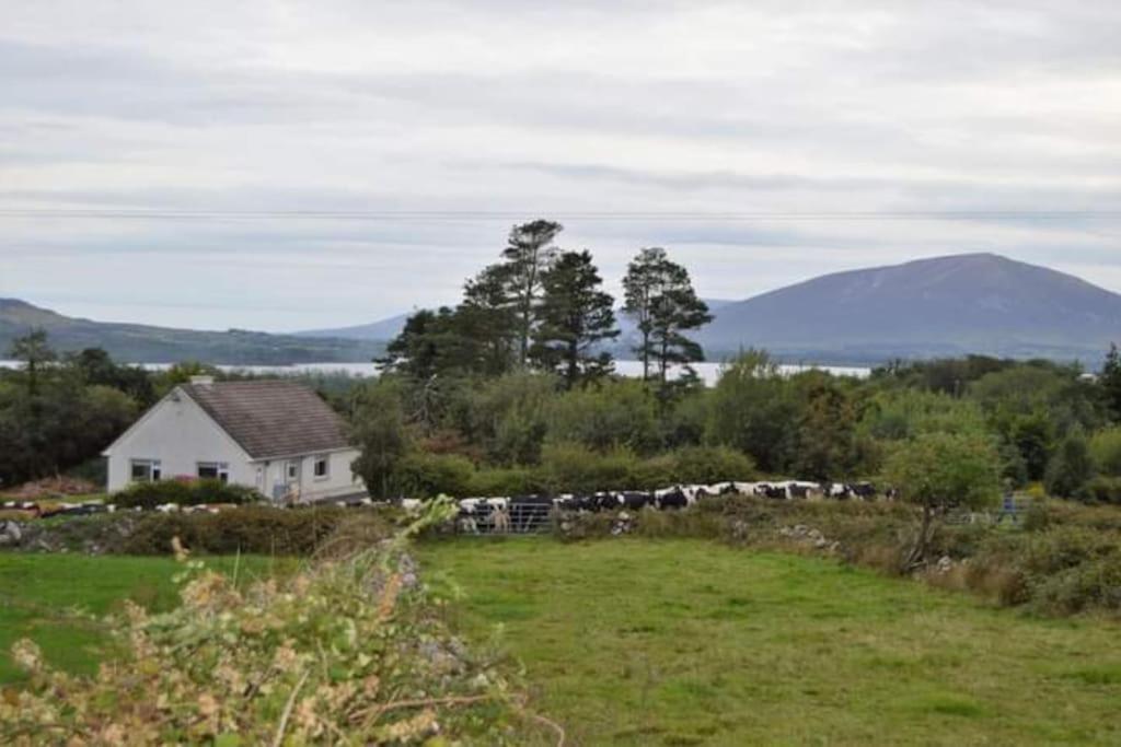 Twin Lake View - Bungalow In Pontoon Foxford Exteriér fotografie
